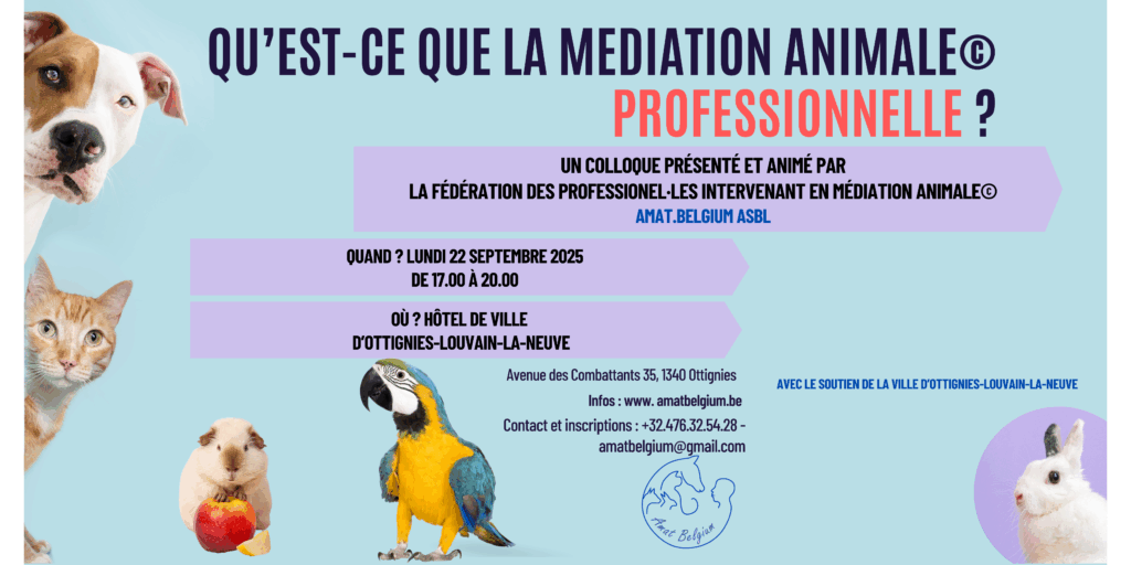 Image actuelle : https://www.amatbelgium.be/les-rencontres-et-evenements-de-lamat-belgium/