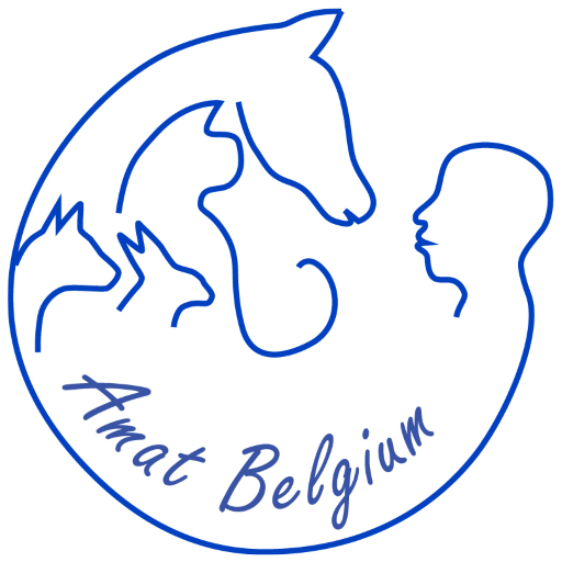 amat belgium logo